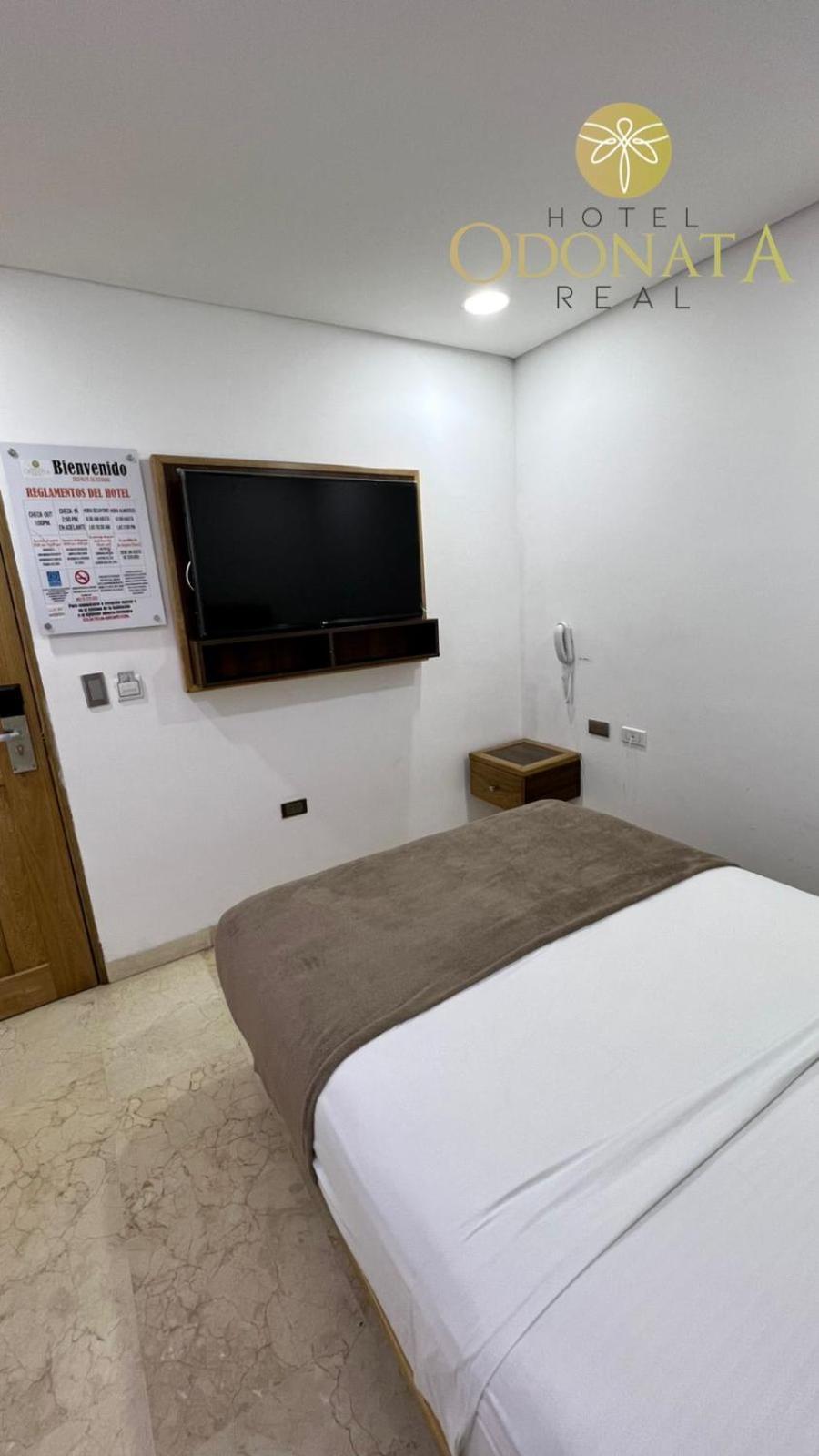 Odonata Real Hotel Cartagena