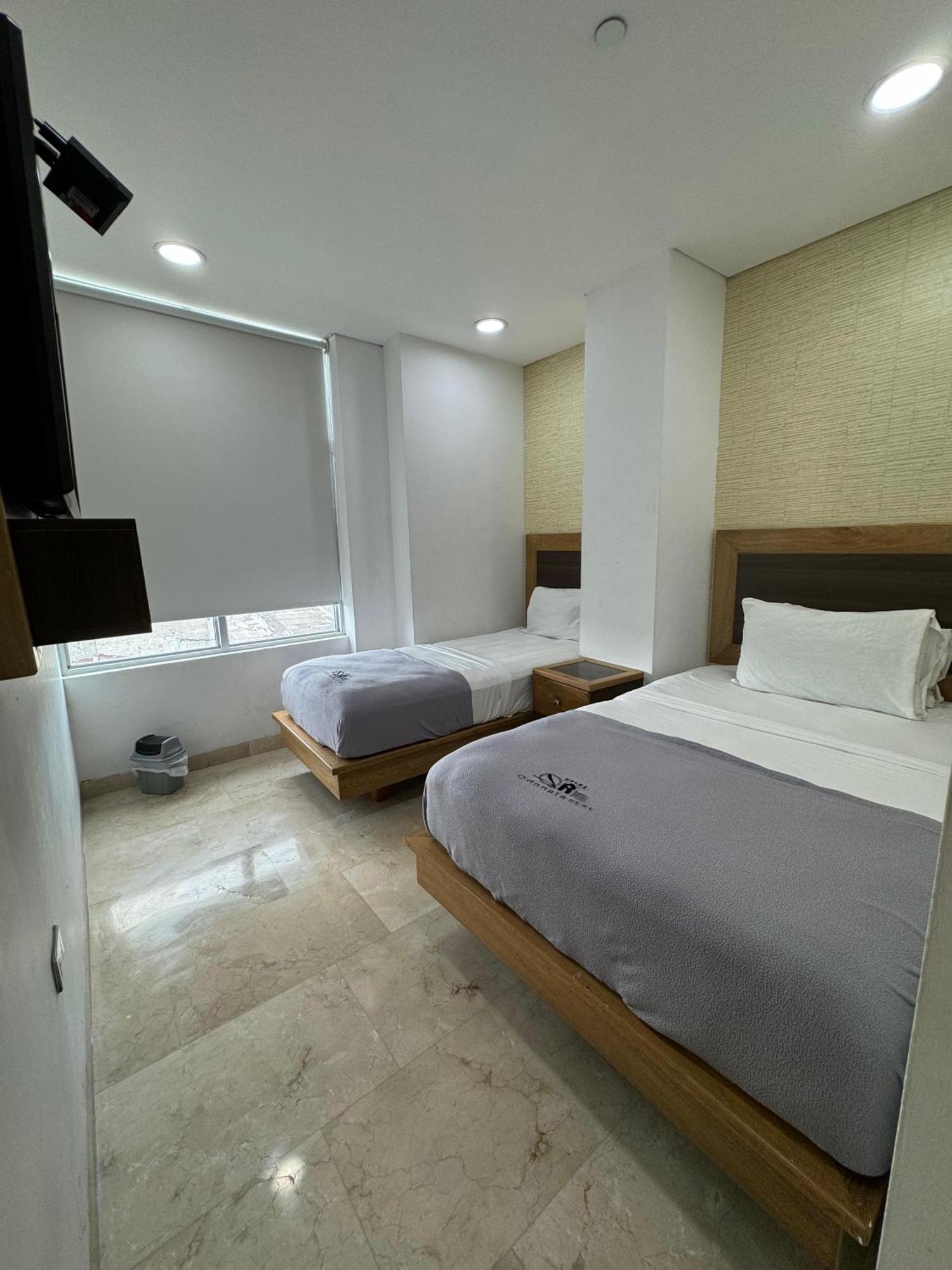 Hotel Odonata Real *