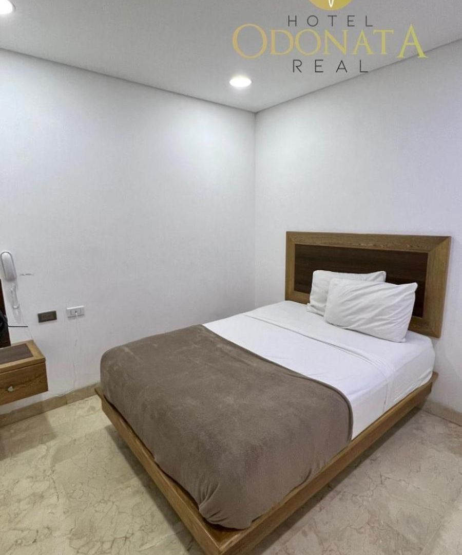 Odonata Real Hotel