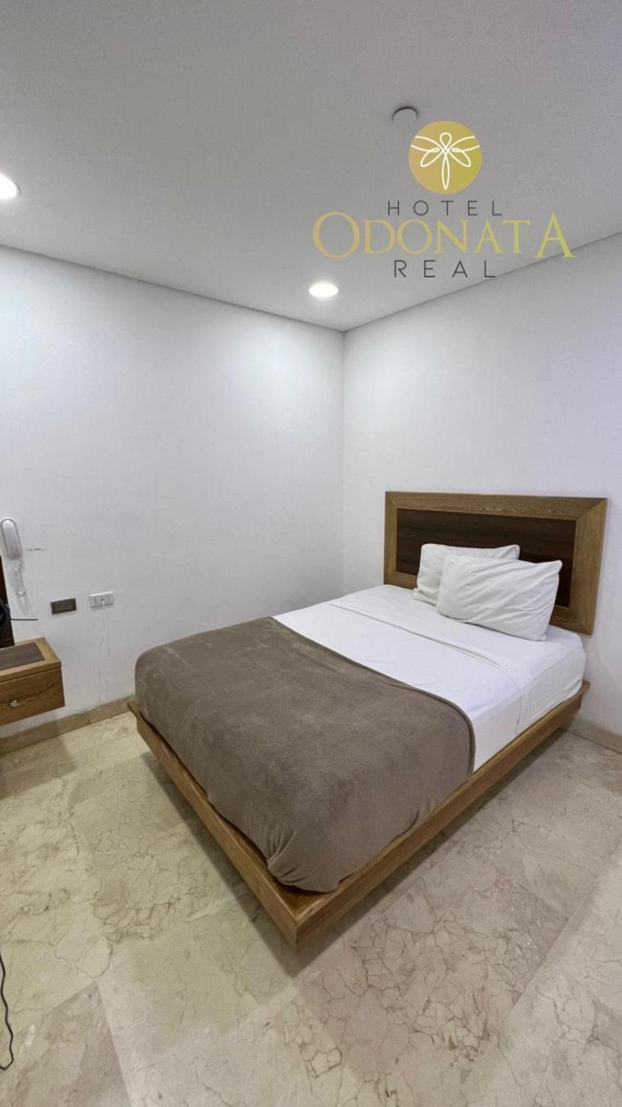 Odonata Real Hotel
